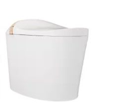 DEERVALLEY Tankless Elongated Smart Toilet Bidet 1.1/1.45 GPF in White with Auto Close/Flush, UV Sterilization, Warm Water, Dryer DV-1S0160-V3 - The Home Depot added by Danielle Lambert
