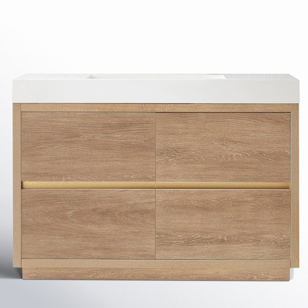 Beira 48'' Single Bathroom Vanity added by Bethany Rodriguez