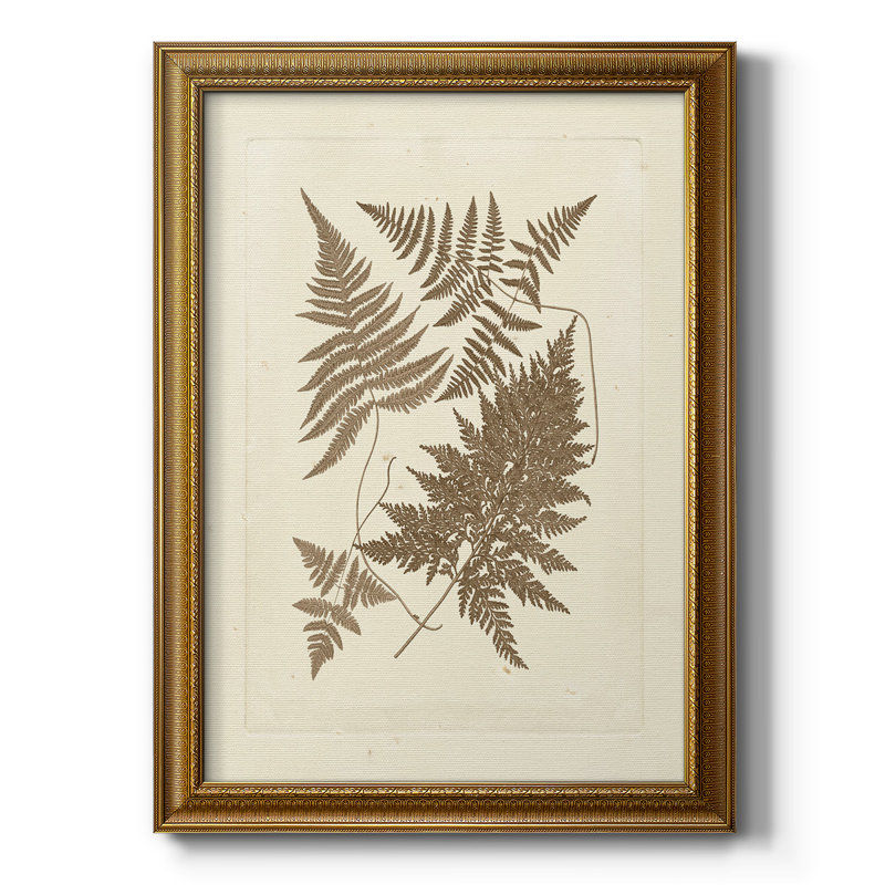 Bayou Breeze Sepia Ferns VI Premium Framed Canvas- Ready To Hang | Wayfair added by Christin Rhodes