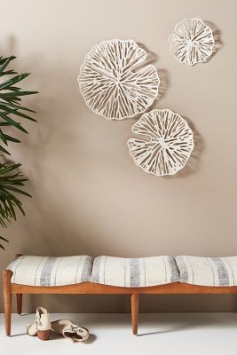 Sand Dollar Wall Hangings, Set of 3 added by Kira Byler