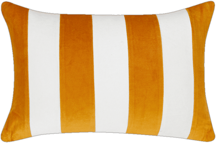 Striped Velvet Lumbar Throw Pillow added by Allison Cray