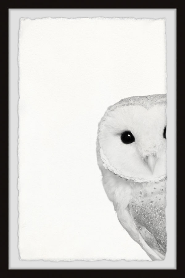 Union Rustic Hidden Owl II Picture Frame Print Set on Paper & Reviews | Wayfair added by Samantha Elizabeth