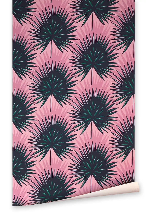 Grow House Grow Petticoat Palm Wallpaper added by Katie Wilson
