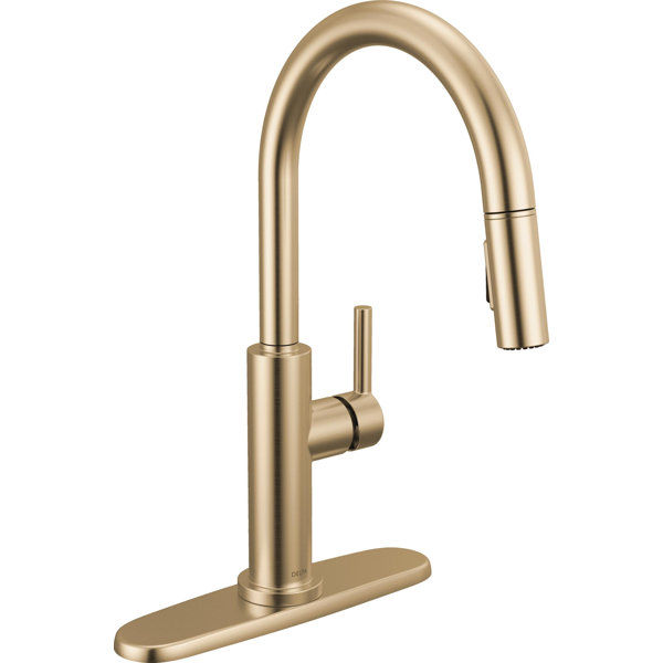 Nicoli Pull Down Sprayer Kitchen Sink Faucet, Single Handle Kitchen Faucet added by Lindsay Schultz