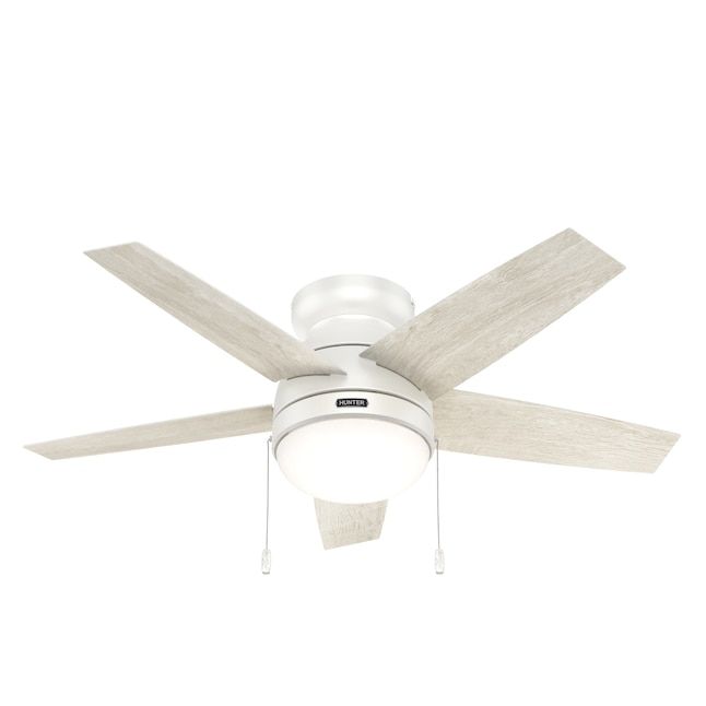 fan  added by sallie tyler