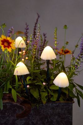 Stargazer Nature Effects Solar Mushroom Lights added by Jessica D'Itri Mares