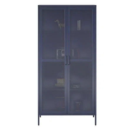 Novogratz Channing 72.83'' Tall Steel 2 - Door Accent Cabinet | Wayfair added by Lindsay Etter