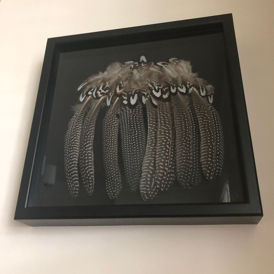Turkey Feather Wall Hanging - Etsy added by Melissa Fraum