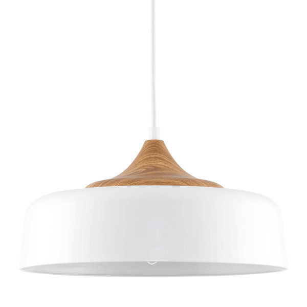 Deylin 1 - Light White/Brown Dome Pendant added by Ashley Wells