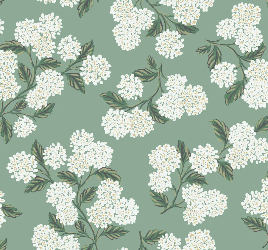 Rifle Paper Co. Hydrangea Wallpaper - Jade added by Paisley Zeledon Dabao