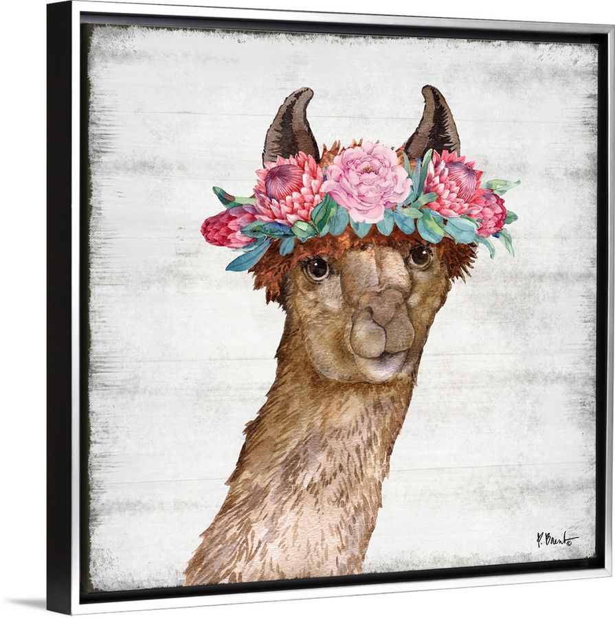 Llama Bloom II added by KATHERINE ECK