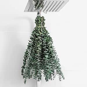 10 Pcs Dried Eucalyptus Stems 17" Real Eucalyptus 100% Made From Fresh Eucalyptus Leaves Artificial Eucalyptus for Shower Hanging, Wedding Decor Home Decor Farmhouse Decor Diy Artificial Plants,Green added by Melissa Balcer