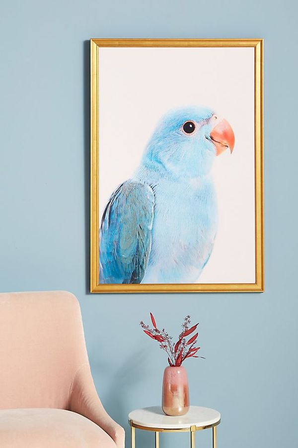 Blue Parrot Wall Art added by Maggie Rousseau