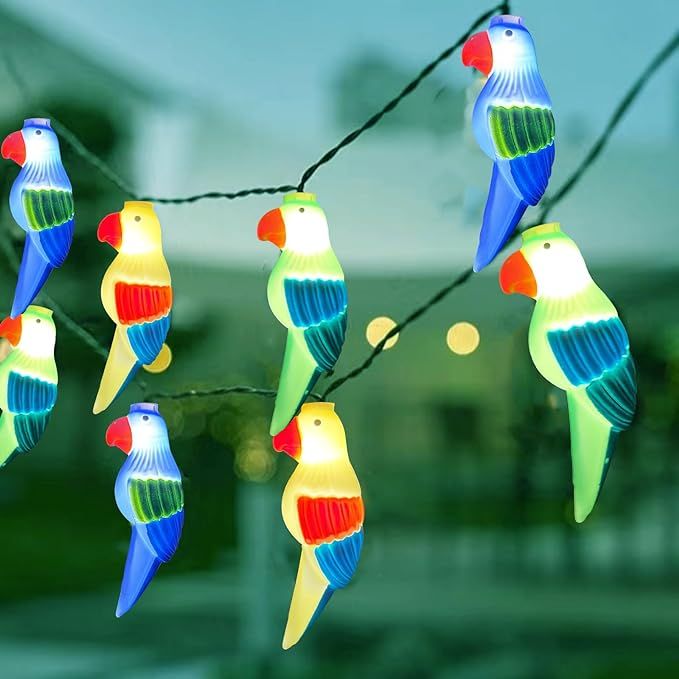 Parrot Lights -  Over Bar  added by Grace Tudor