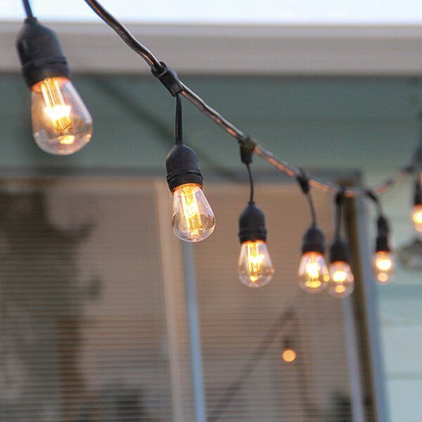 Deerwood 40'' Outdoor 16 - Bulb Standard String Light (End to End Connectable) added by Erica Won