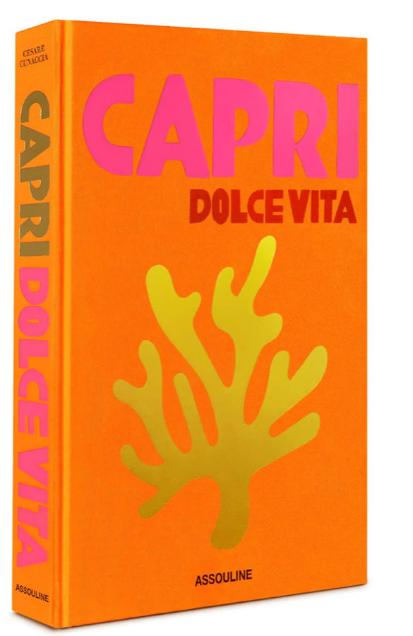 Capri Dolce Vita by Cesare Cunaccia - Coffee Table Book | ASSOULINE added by Madeline Wood
