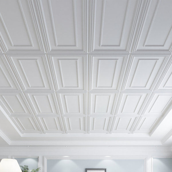 48'' L x 24'' W Matte PVC Ceiling Tile added by HELEN SALGADO