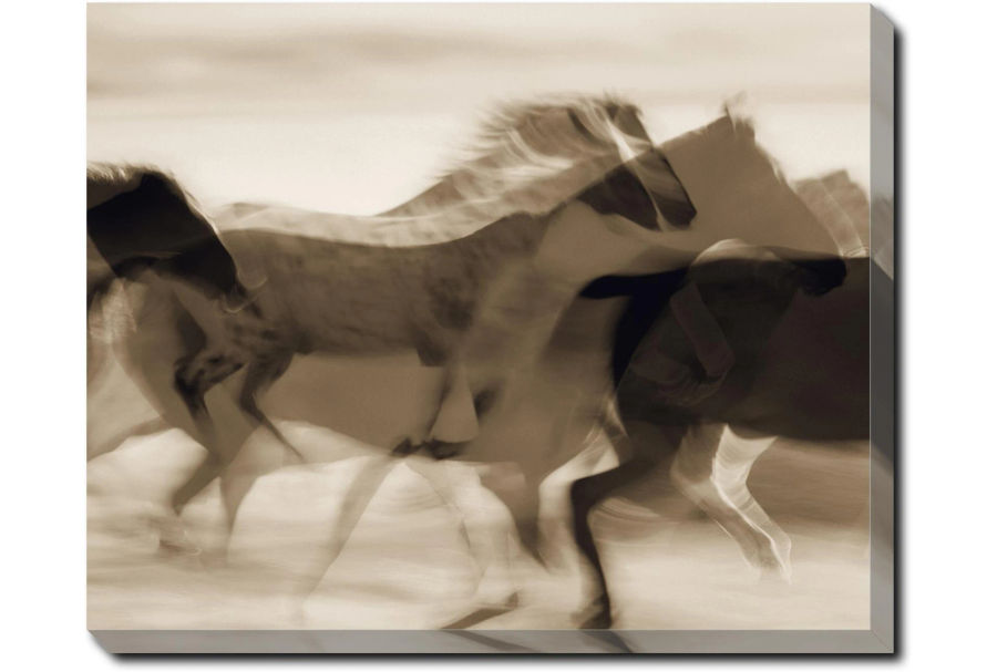 40"X50" Filmed Horses Gallery Wrap Canvas added by Madison Subry
