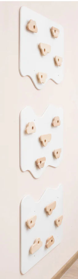 Home Climbing Wall added by Andrea Medina Shibi