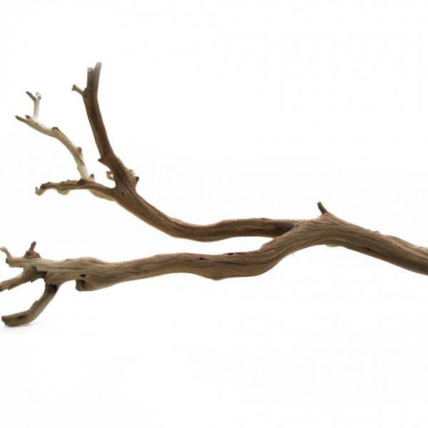 Union Rustic Adolfa Decorative Natural Scuplture & Reviews | Wayfair added by sallie tyler