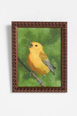 Prothonotary Warbler Wall Art added by Evie Leigh