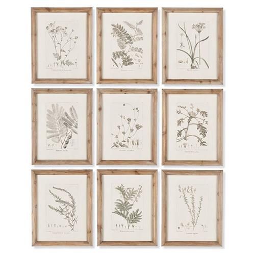 Ling French Country Brown Floral & Botanical Natural Frame Illustration added by Allison Buller