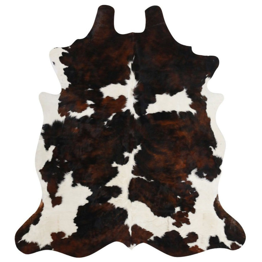 Tricolor Cowhide Rug added by Umi Daubendeck