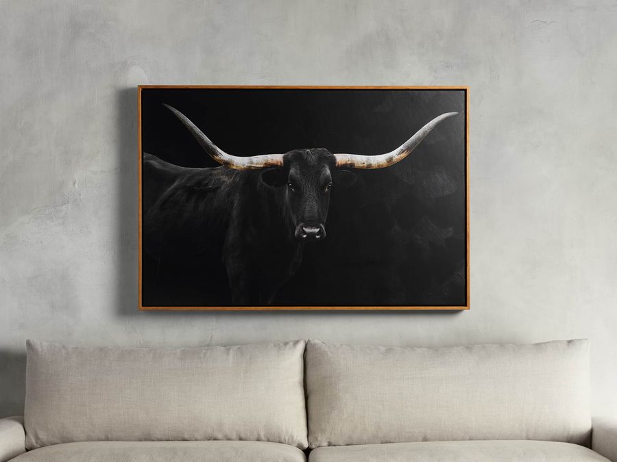Longhorn Framed Print added by Erika Hard