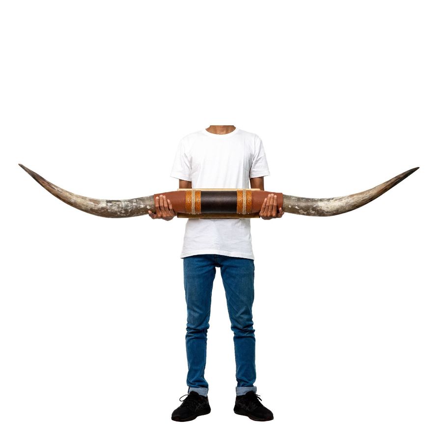 Brown Leather Mount // Standard Longhorns - Trapper added by Molly Bowen