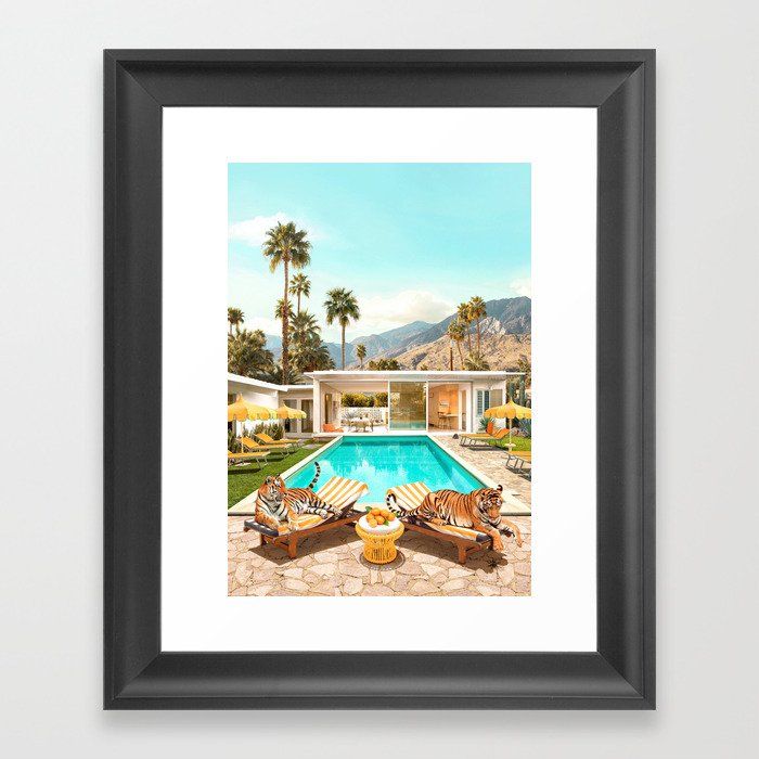 Tigers Glamour Framed Art Print by Paul Fuentes Photo added by Caroline Niederst