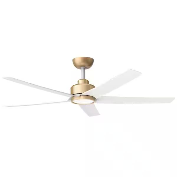 Fan added by Madison Subry
