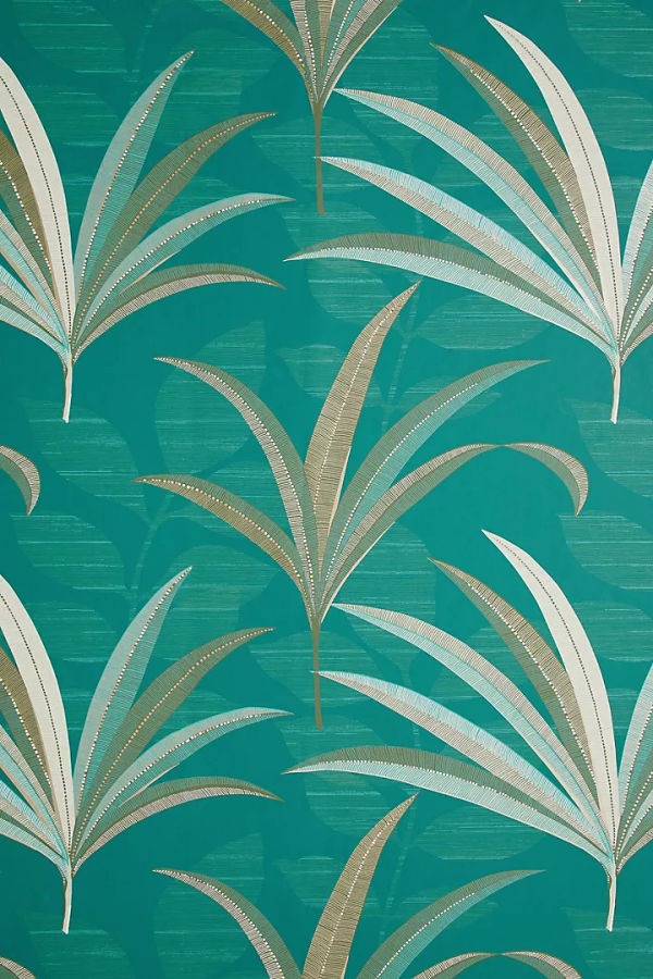 Wallpaper added by Cary Oliva