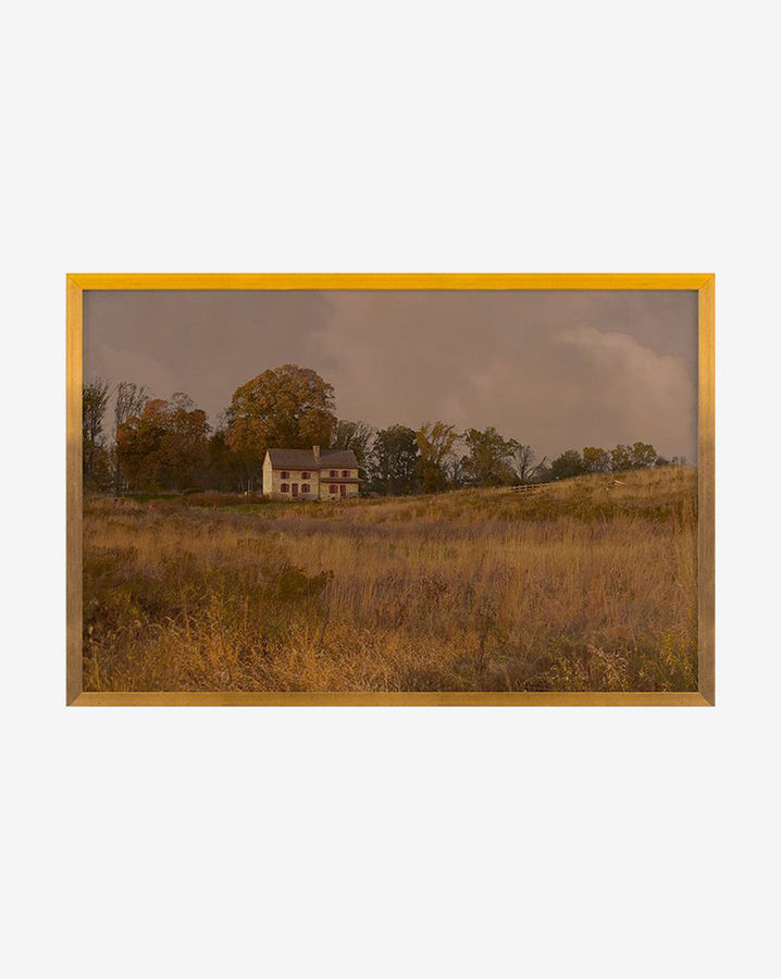 Golden Countryside added by Ashley McLendon
