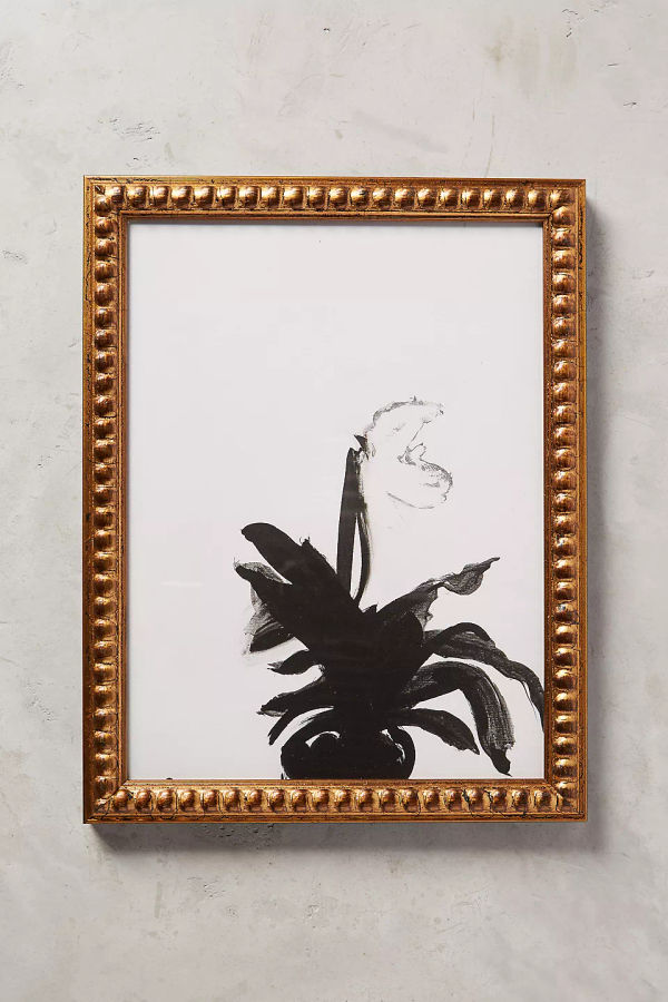 The Orchid Wall Art added by Maddie Bender