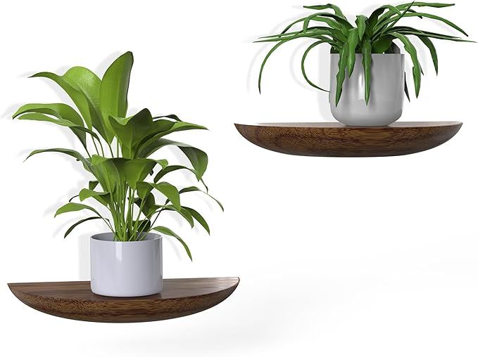 Solid Wood Half Round Floating Wall Shelves | Elegant Floating Shelves, Elevate Your Space. Perfect for Living Rooms, Bathrooms, Bedrooms, Offices, Children's Rooms added by mony 44