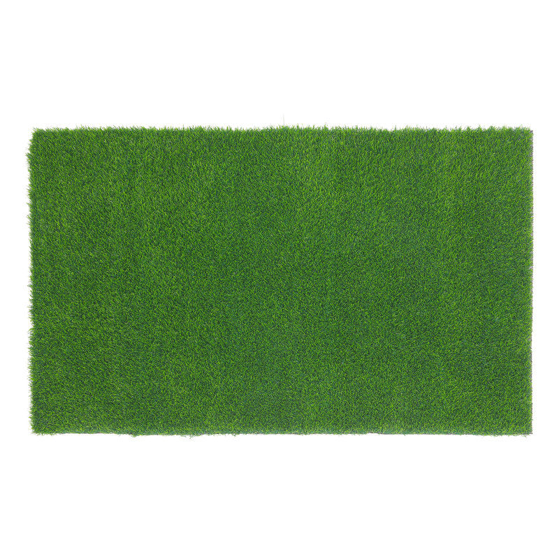 SHACOS Artificial Grass Turf Rugs and Rolls & Reviews | Wayfair added by sallie tyler