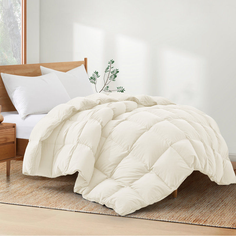 600 Fill Power All Season Down Comforter/Duvet Insert added by Jennifer Call