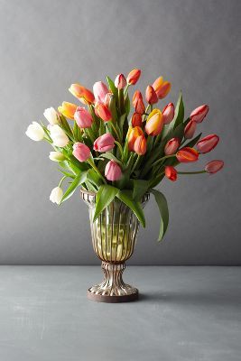 Fresh Mixed Tulip Bunch added by Olga Dragieva