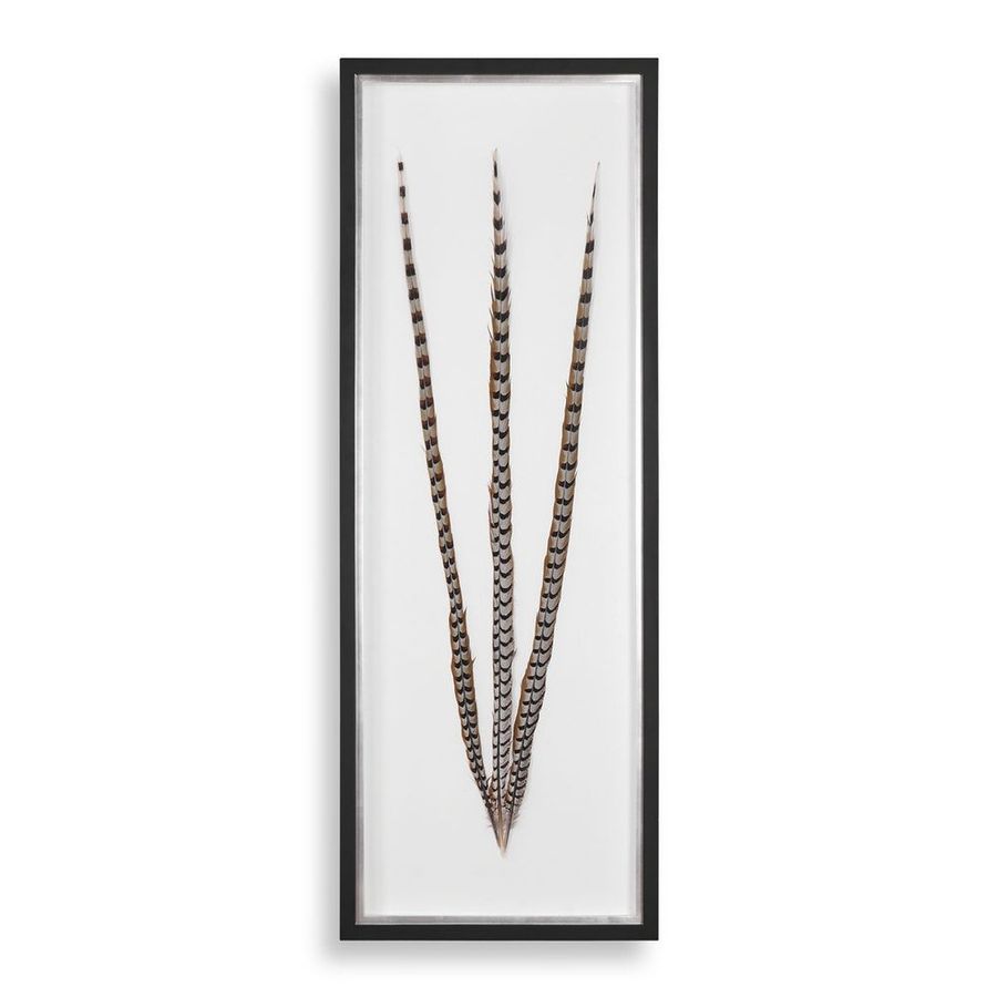 Mikado Shadow Box added by MK Alderman