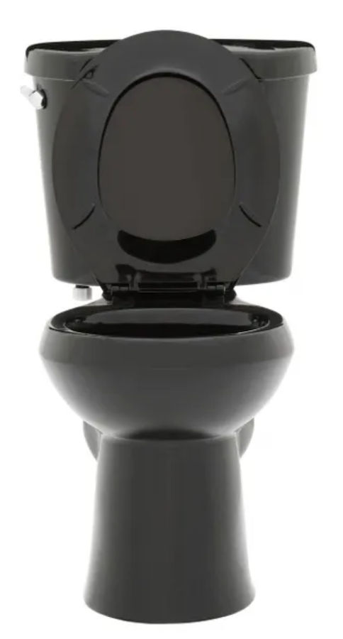 12 inch Rough In Two-Piece 1.28 GPF Single Flush Round Toilet in Black Seat Included added by Nina Machado