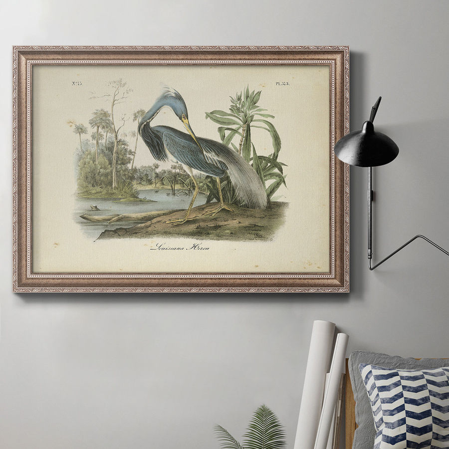 Rosecliff Heights Louisiana Heron by John Audubon - Picture Frame Painting on Canvas & Reviews | Wayfair added by Erika Fadden