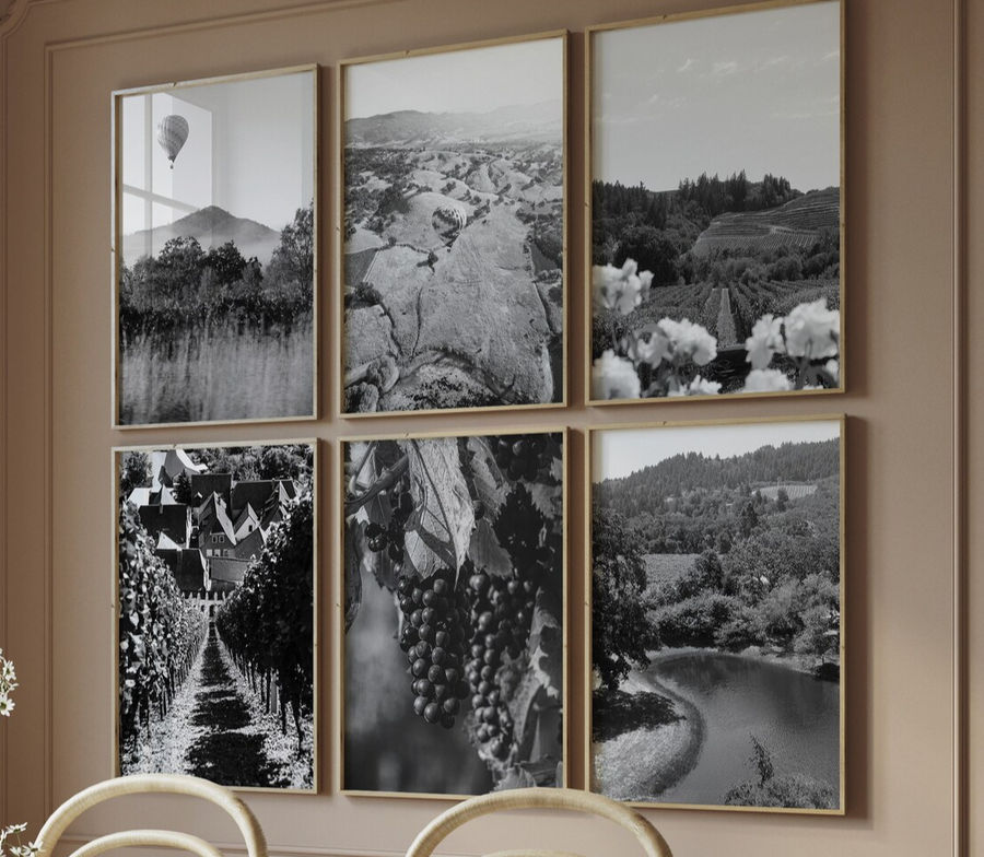 Napa Valley Poster, Gallery Set of 6, Black And White Print, Printable Wall Art, Napa Valley Photo, California Poster, Home Art Decor added by Natalie Caddell