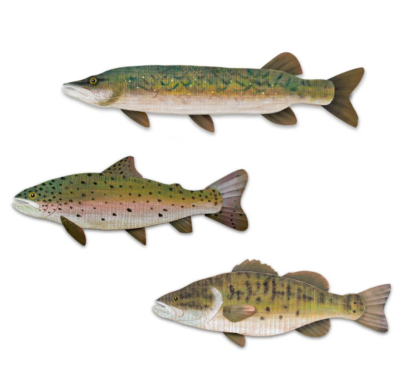 Loon Peak® 3 Piece Lake Fish Wall Décor Set | Wayfair added by Morgan Van Roekel