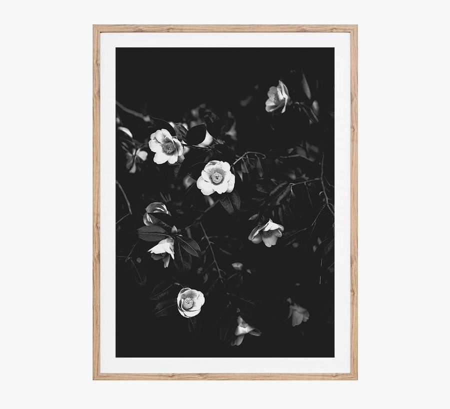 Flowers Art Print, Printable Wall Art, Black and White Wall Art, Black and White Rose Print, Flower Print, Botanical Art, Gallery Wall Decor added by Spoak Member