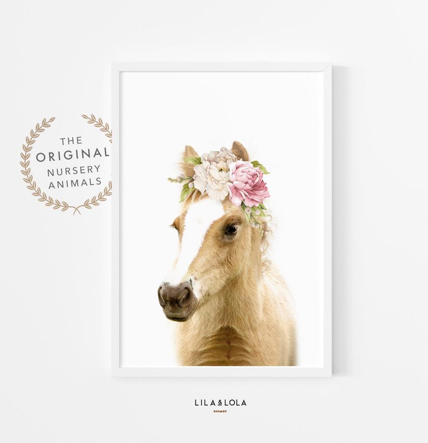 Baby Horse Print for Nursery, Floral Foal For Girls Bedroom, Pink Flowers, Watercolour Peony Roses Decor, Printable Digital Download added by Spoak Member