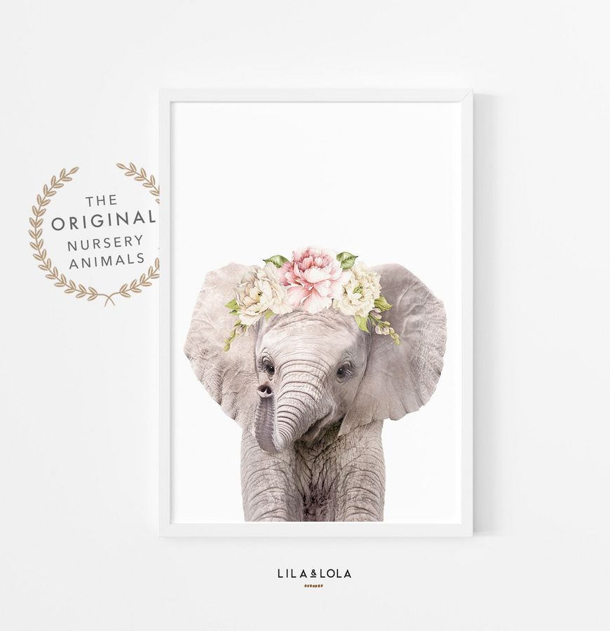 Baby Elephant Print for Girls Nursery, Safari Animal Wall Art, Pink Peony Roses Bedroom Decor, Watercolor Floral Poster, Modern Contemporary added by Spoak Member