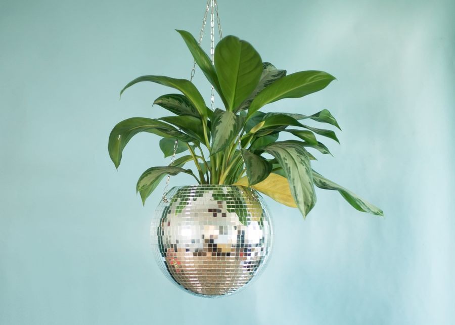 Dado Disco Ball Plant Hanger With Retro Packaging. added by Spoak 