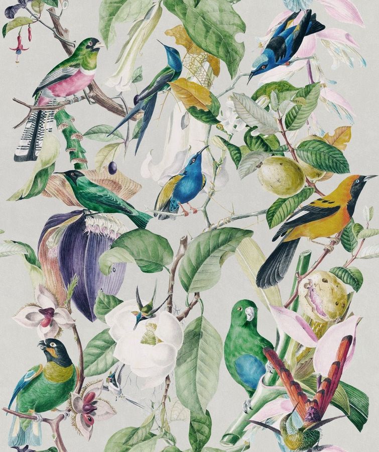 Tropical Birds Parrots wallpaper - Exotic Birds wallpaper - designer wallpaper - feature wall - exotic birds flowers fruits wallpaper added by Spoak Member