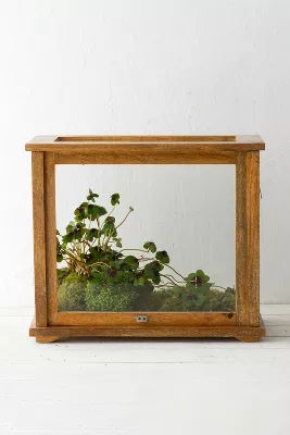 Specimen Case Terrarium added by Spoak Member