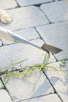 Sneeboer Stone Scratcher added by Spoak Member